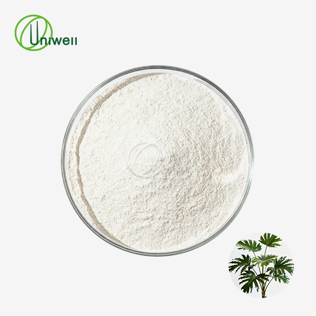 Saw Palmetto Extract Powder